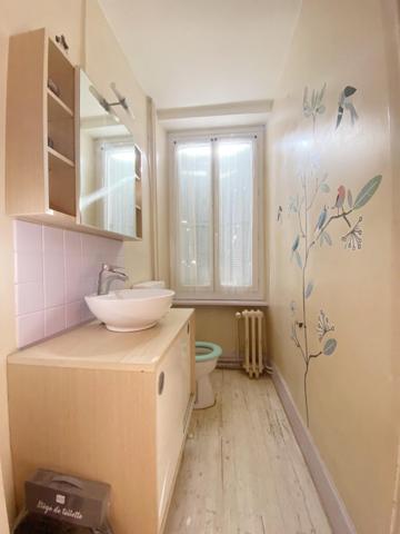 Maison Brassagaise au coeur du village avec double garages et cour interieur