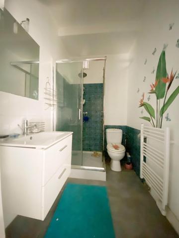 Maison Brassagaise au coeur du village avec double garages et cour interieur