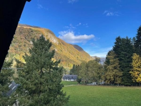 chalet à vendre 4 pièces CAMPAN (65)