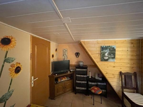 chalet à vendre 4 pièces CAMPAN (65)