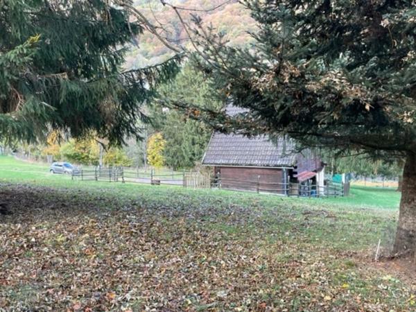 chalet à vendre 4 pièces CAMPAN (65)