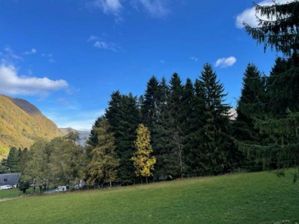 chalet à vendre 4 pièces CAMPAN (65)