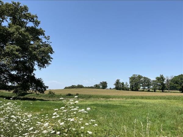 Terrain à vendre |  Saint-Just-le-Martel |  1377 m²