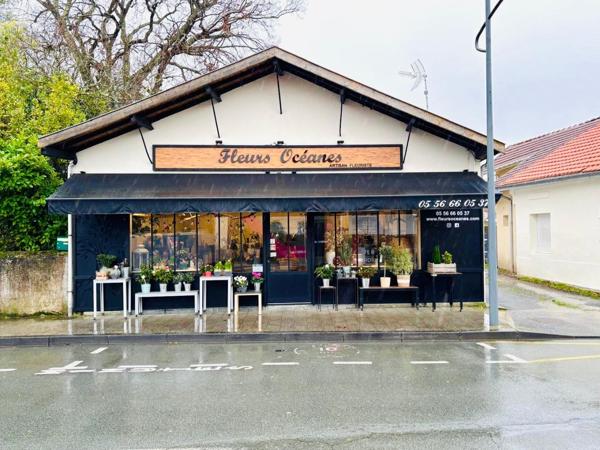 Boutique Gujan Mestras , Gujan mestras