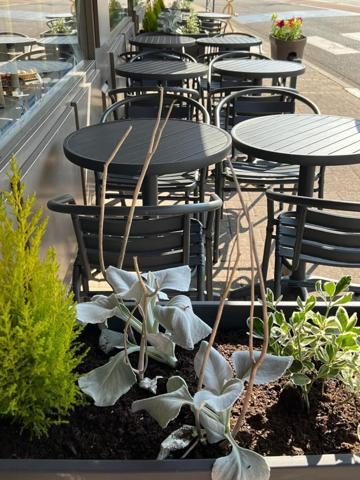 Belle affaire au centre de Dieuze