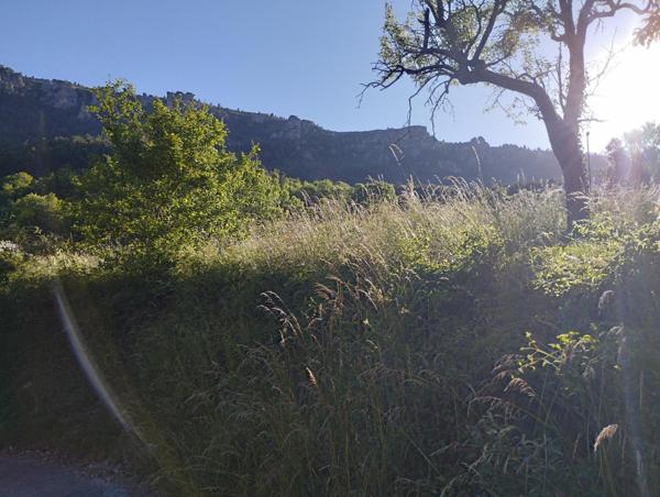 Terrain à FLORAC TROIS RIVIERES, 48400 - 673m²