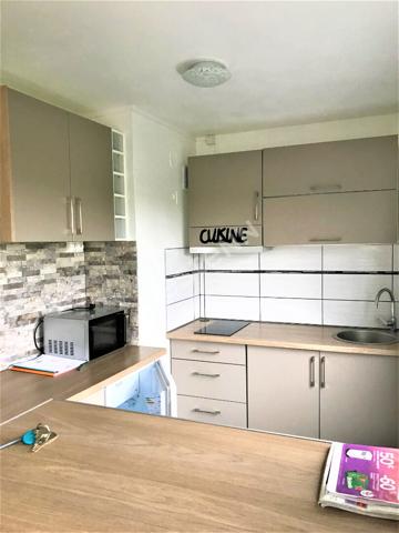 GRAND T1 BIS AVEC BALCON RENOVE - SECTEUR BD DES BELGES