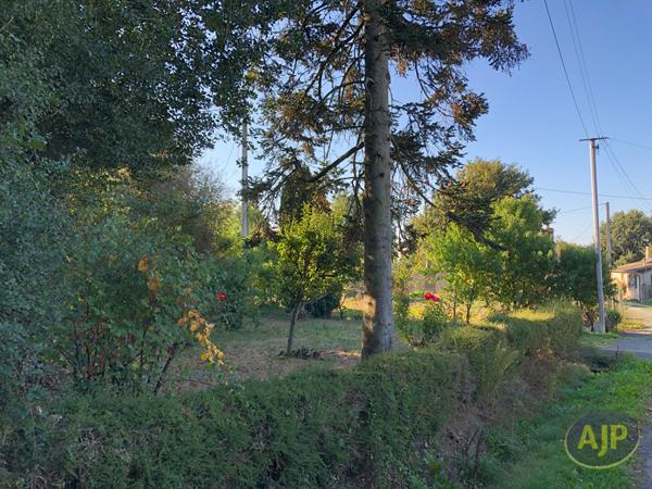 Vente maison Vergonnes : 69 970 € - AJP Immobilier Segré