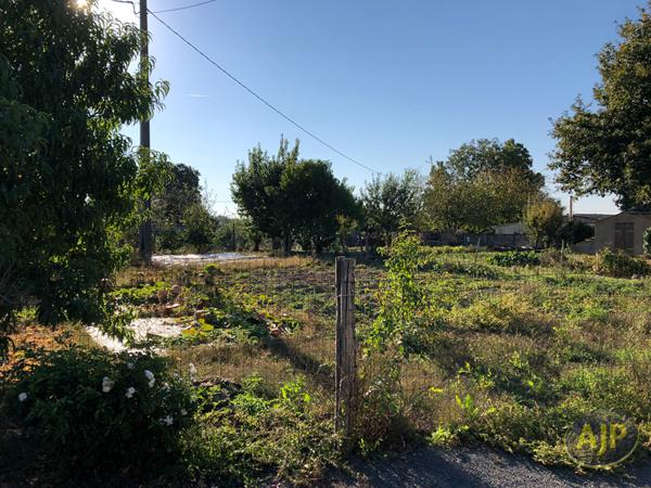 Vente maison Vergonnes : 69 970 € - AJP Immobilier Segré