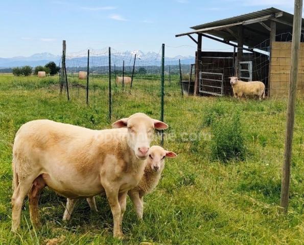 🌿 COUP DE CŒUR : Domaine Unique face aux Pyrénées 🏔️