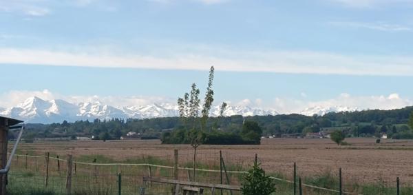 🌿 COUP DE CŒUR : Domaine Unique face aux Pyrénées 🏔️