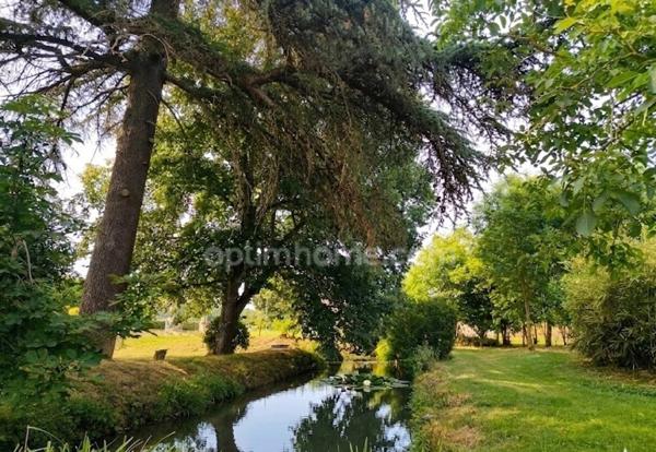🌿 COUP DE CŒUR : Domaine Unique face aux Pyrénées 🏔️