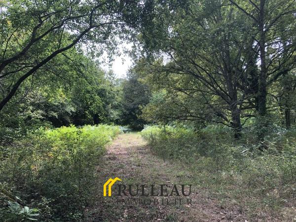 PROPRIETE: 7 hectares avec pré/bois/étang, belle demeure, 4 dépendances Détails des diagnostics énergétiques