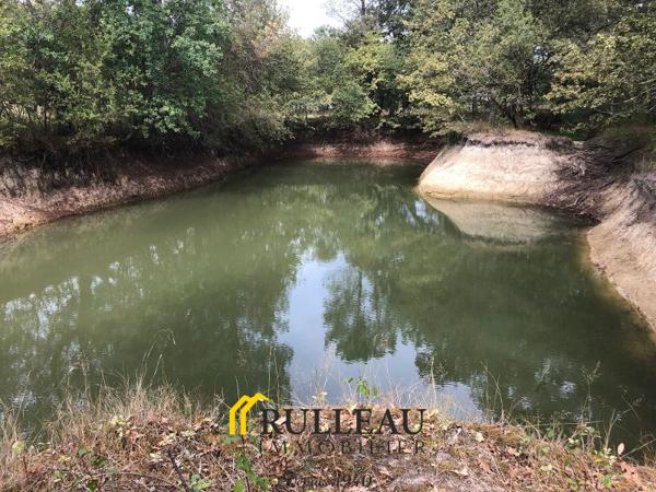 PROPRIETE: 7 hectares avec pré/bois/étang, belle demeure, 4 dépendances Détails des diagnostics énergétiques