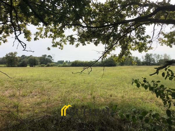 PROPRIETE: 7 hectares avec pré/bois/étang, belle demeure, 4 dépendances Détails des diagnostics énergétiques