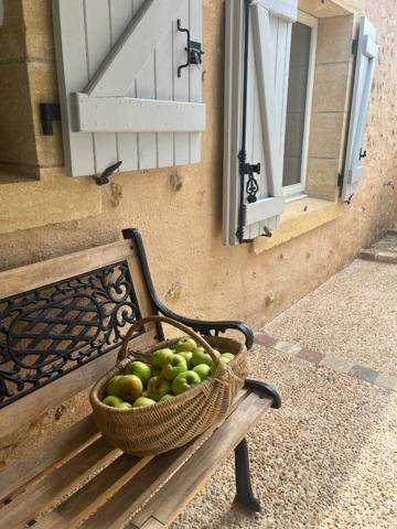 Le charme de l'ancien, le confort du moderne : votre coup de coeur à 15 min de Périgueux !