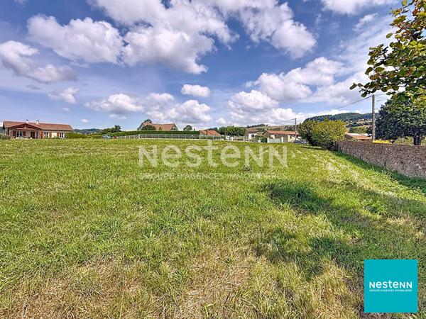 A 15 minutes de Feurs terrain constructible de 2738 m2 a Montchal au coeur du village