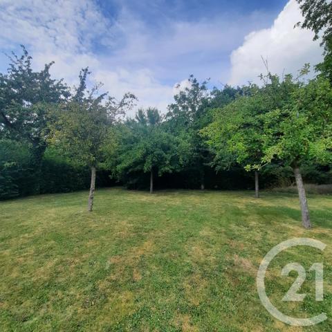 à vendre  765 m2 THUBOEUF - 53