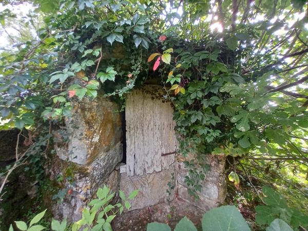 Maison à vendre 5 pièces VERFEIL SUR SEYE (82)