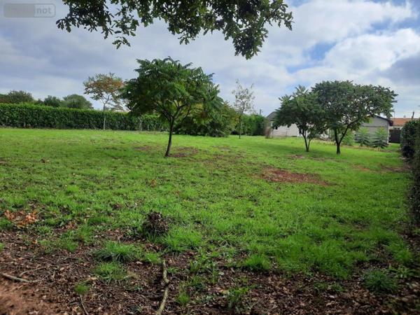 Terrain à Batir à vendre à Legé en Loire-Atlantique (44650), ref : 85091-5101