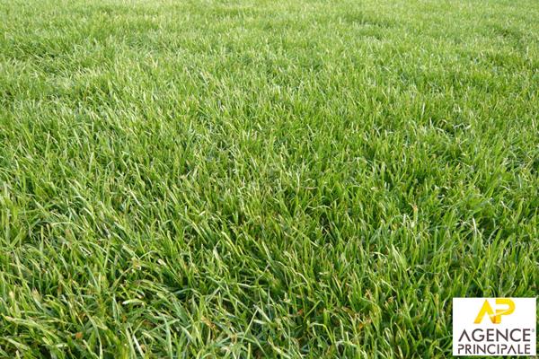 Terrain Conflans Sainte Honorine 1100m2 €550 000 ** - Référence 7612