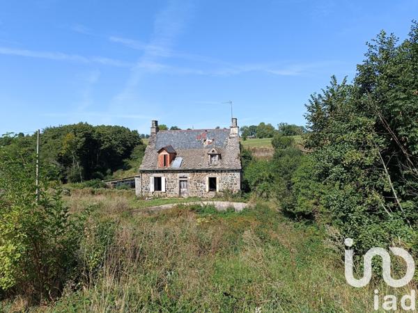Maison rustique 4 pièces de 105 m² à Saint-Bonnet-de-Salers (15140)