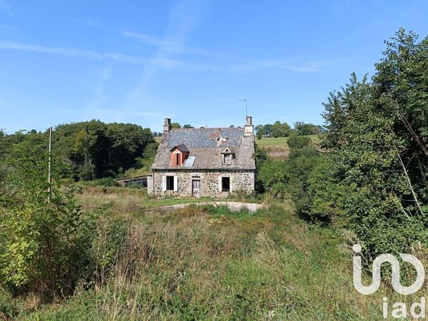 Maison rustique 4 pièces de 105 m² à Saint-Bonnet-de-Salers (15140)