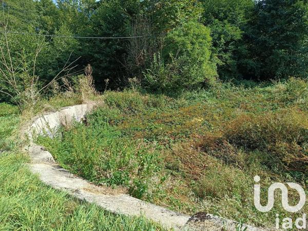 Maison rustique 4 pièces de 105 m² à Saint-Bonnet-de-Salers (15140)