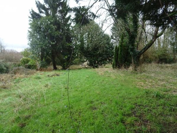 Vente Terrain â bâtir