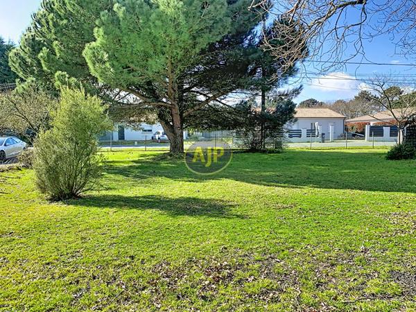 Vente terrain Hourtin : 150 250 € - AJP Hourtin Immobilier