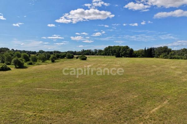 Lot de parcelles agricoles - 62 hectares (62 000 m²) - SOMMIERES (GARD)
