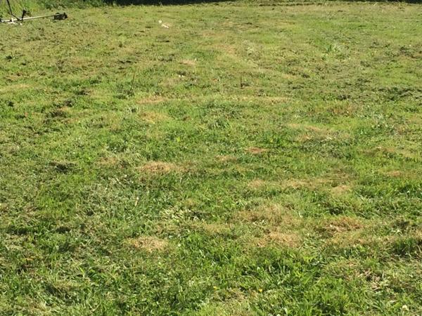 Terrain à vendre de 1 200,00 m² CROISY SUR ANDELLE (76)