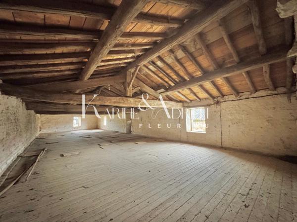 Beau potentiel pour cette bâtisse en pierre offrant au total plus de 378m2 de bâti