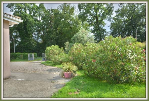 A vendre Maison Contemporaine 6 pièces MONBAHUS (47)-131 M2 -Terrain arboré 2000 M2