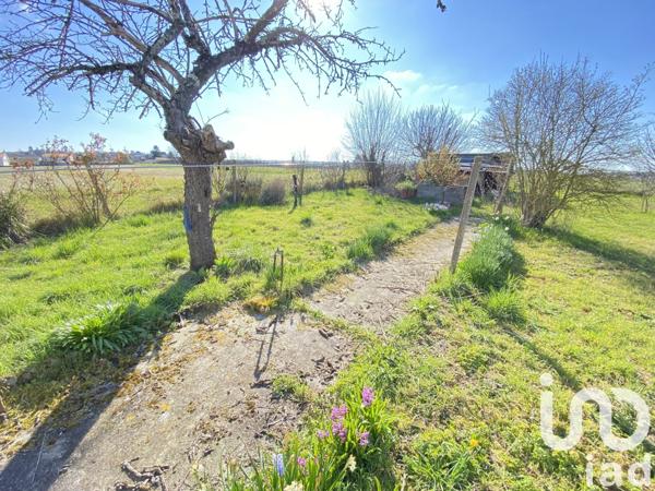 Maison 4 pièces de 74 m² à Barbezieux-Saint-Hilaire (16300)