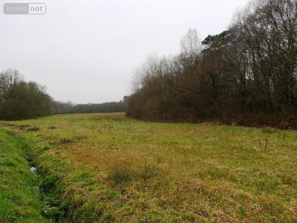 Maison à vendre à Gueltas dans le Morbihan (56920), ref : 56075-2336