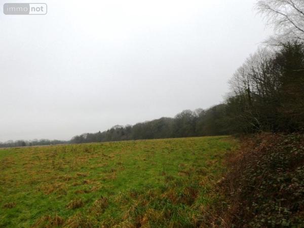 Maison à vendre à Gueltas dans le Morbihan (56920), ref : 56075-2336