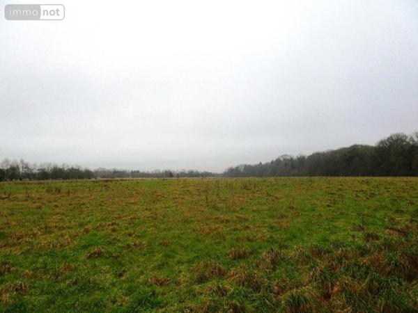 Maison à vendre à Gueltas dans le Morbihan (56920), ref : 56075-2336