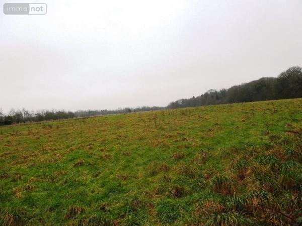 Maison à vendre à Gueltas dans le Morbihan (56920), ref : 56075-2336