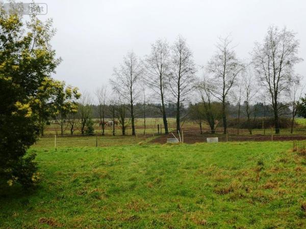 Maison à vendre à Gueltas dans le Morbihan (56920), ref : 56075-2336