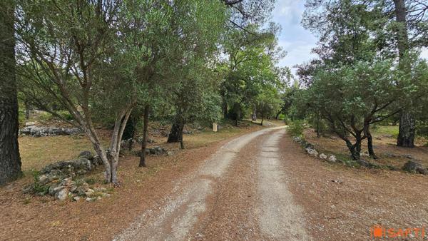 Authentique maison provençale avec cabanon indépendant