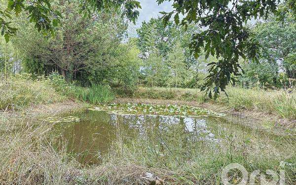 Maison à vendre    4 pièces •  Challans