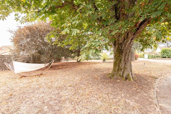 Vente Corps de ferme Le Controis-en-Sologne 41400 Contres-Blois-Montrichard