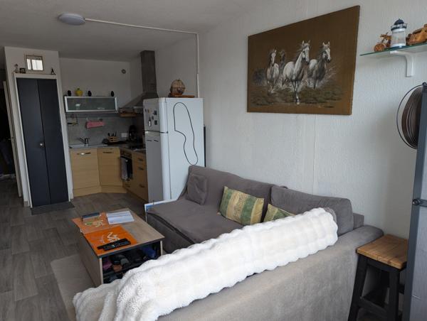 Studio bien aménagé avec parking à Port Camargue Plages Sud. Le Grau-du-Roi (30240)