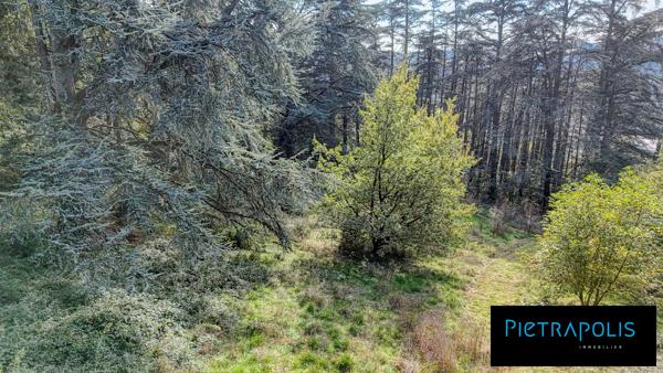 Magnifique terrain constructible