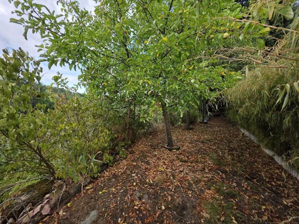 Maison à SAINT BENOIT DU SAULT (36170)