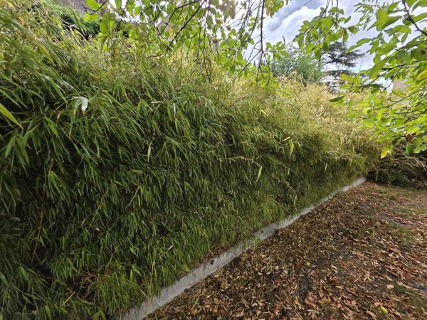 Maison à SAINT BENOIT DU SAULT (36170)