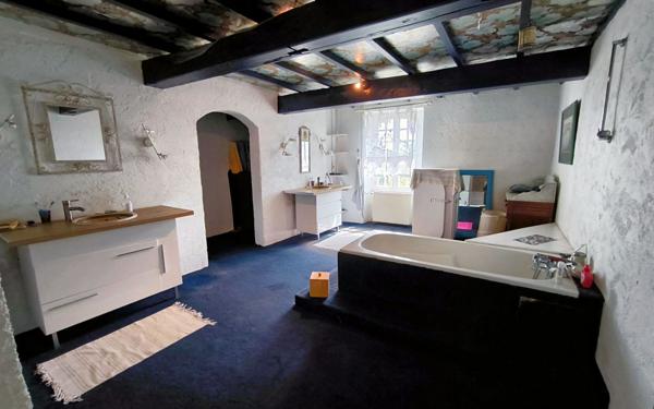 Maison à vendre    12 pièces •  Castelnau-Rivière-Basse