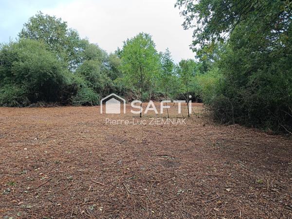 Terrain non-constructible