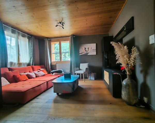 Chalet meublé 116m2 et local 110m2